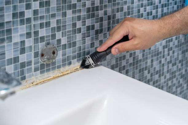 Best Emergency Mold Remediation in Town N Country, FL
